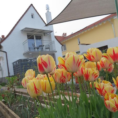 Spira House Apartman Kültér fotó